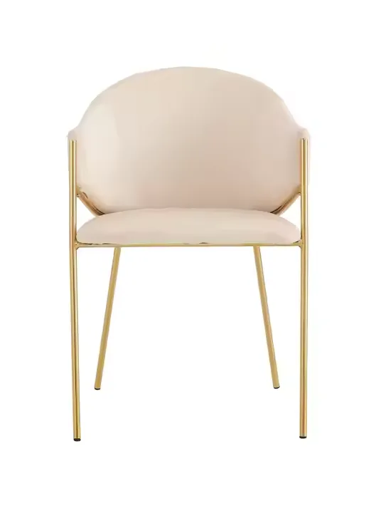 JP Golden Stainless Steel Dining Chair for photo 2