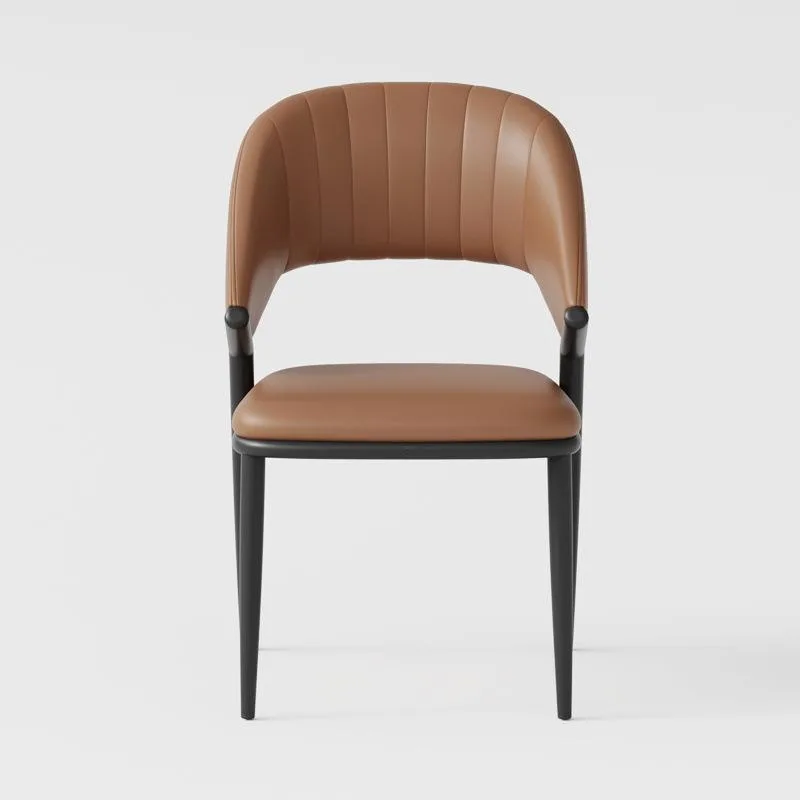 JP Home Use Simple Modern Backrest Chair Light photo 2
