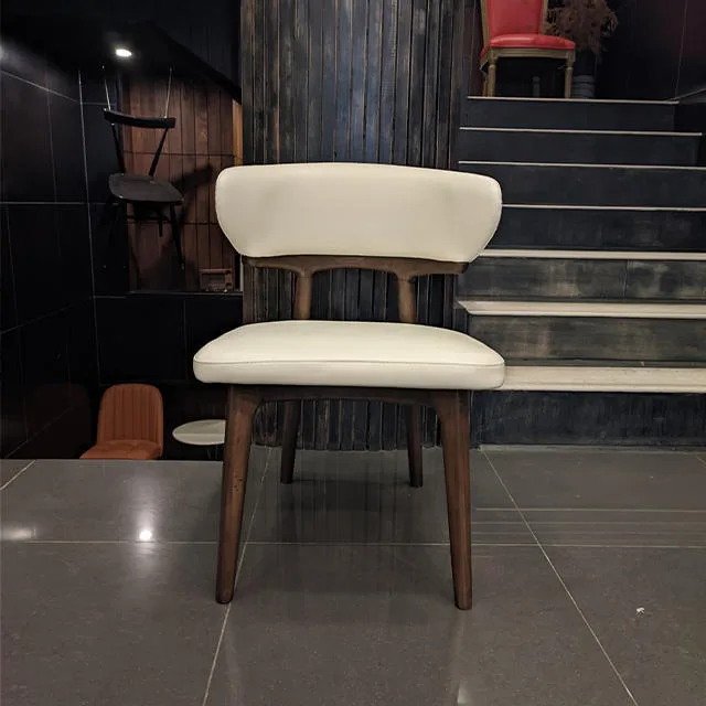JP Aesthetically Designed Modern Dining Chair Soft photo 3