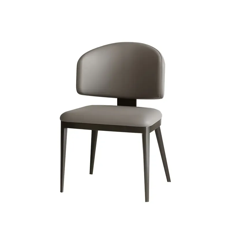JP Luxury Dining Chairs for Living Room photo 2