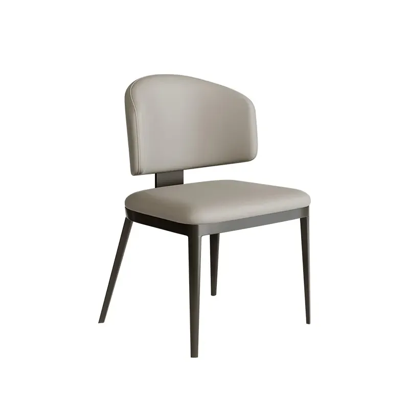 JP Luxury Dining Chairs for Living Room