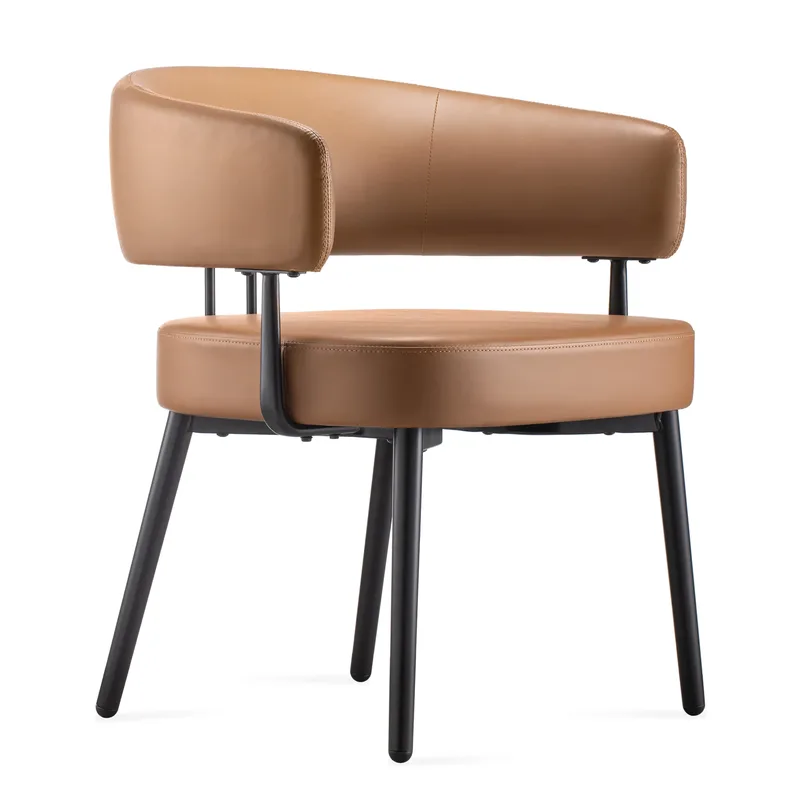 JP Modern Design Coffee Leisure Chair Northern photo 2