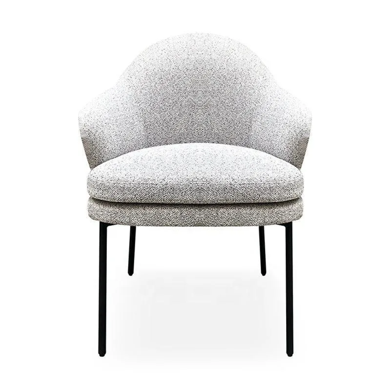 JP New Designer Leisure Dining Chair Series photo 2