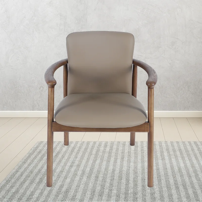 JP Solid Wooden Frame Back Design Nordic photo 2
