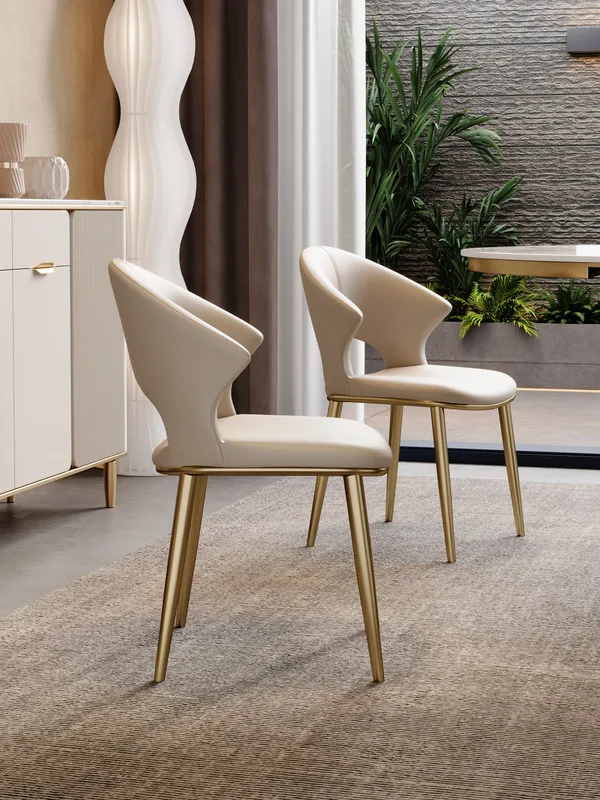 JP Modern Simple Stainless Steel Dining Chair photo 2
