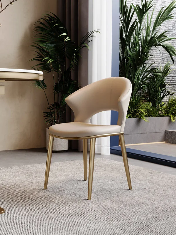 JP Modern Simple Stainless Steel Dining Chair photo 3