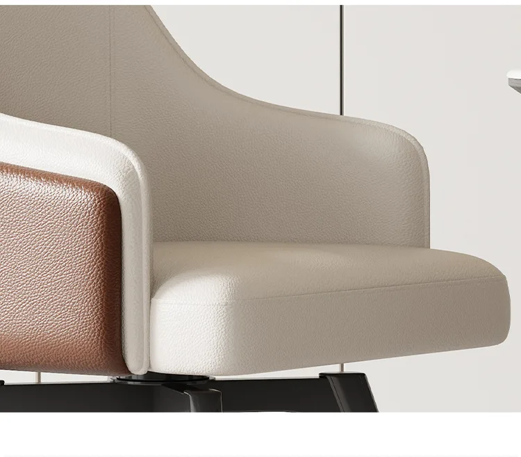 JP High-Class Two Tone Leather Accent Chair photo 2